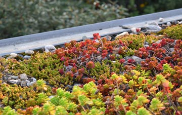 the cost of Red Bridge green roof installation