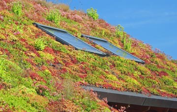 Red Bridge living roof systems